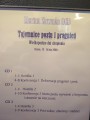 img_20200402_124935.jpg