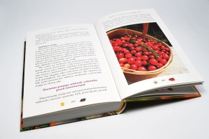 72476_01.jpg