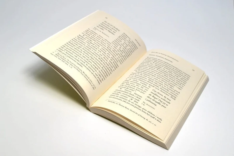 P1.jpg